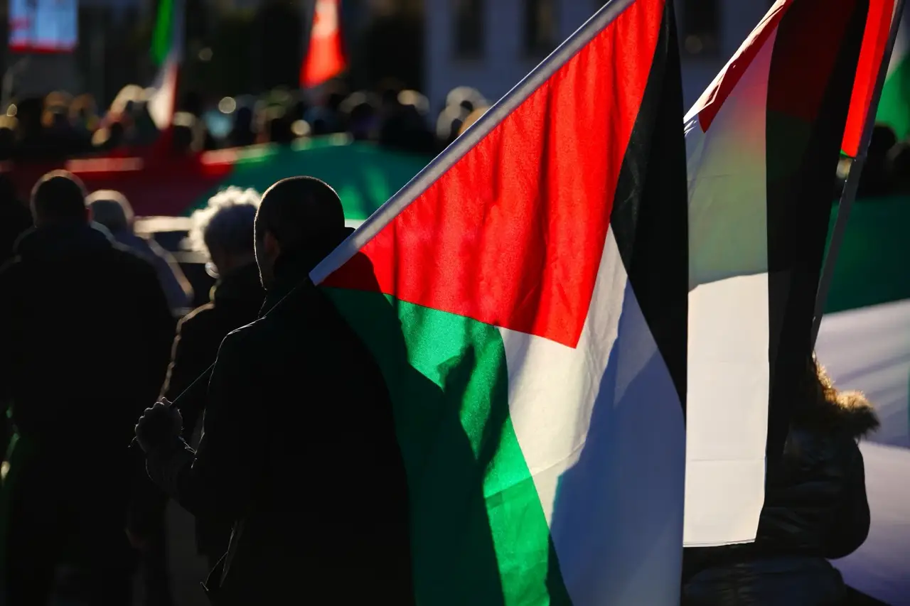 Many,Palestinian,Backlit,Flags,Carried,By,Demonstrators,During,The,Protest