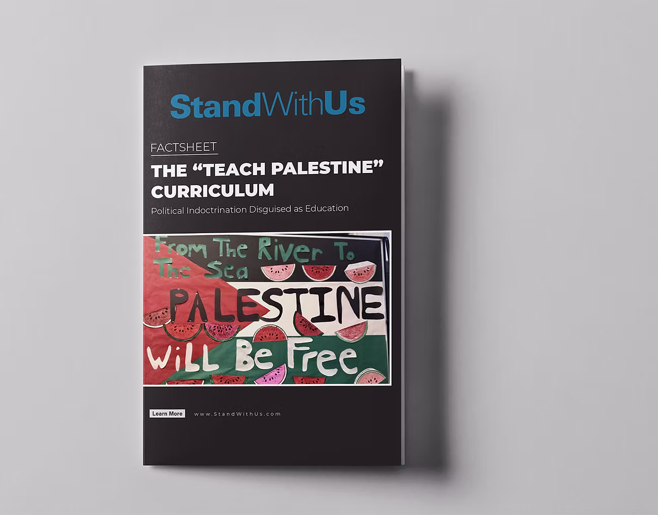 Teach Palestine- Cover