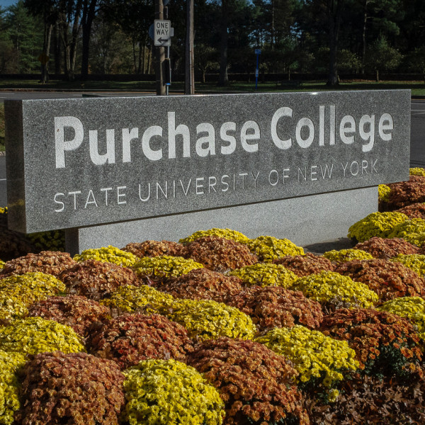 suny-puchase.jpeg