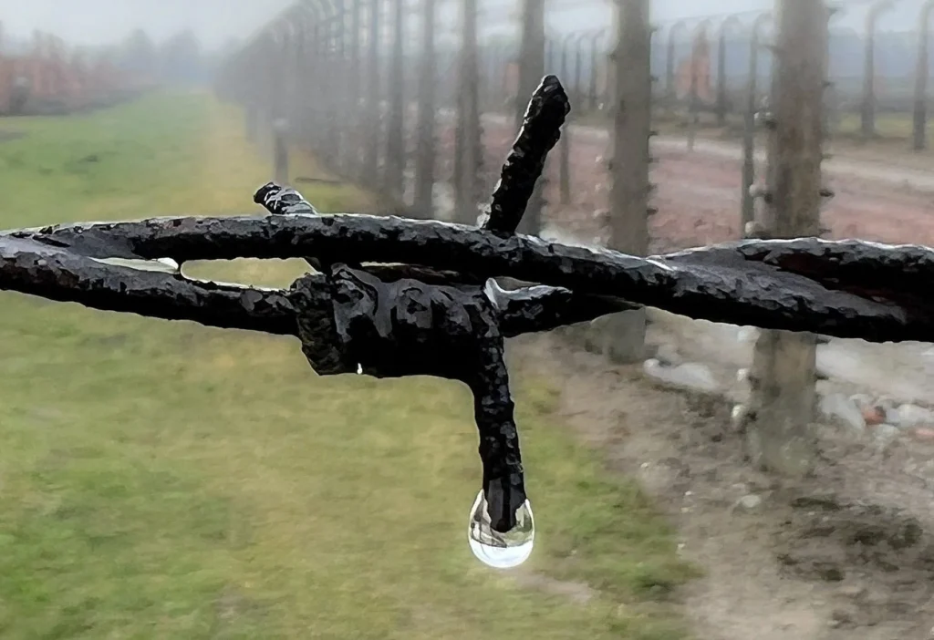 605E6DBE-949E-4327-B11B-F03B0DF23A74-e1774886351794