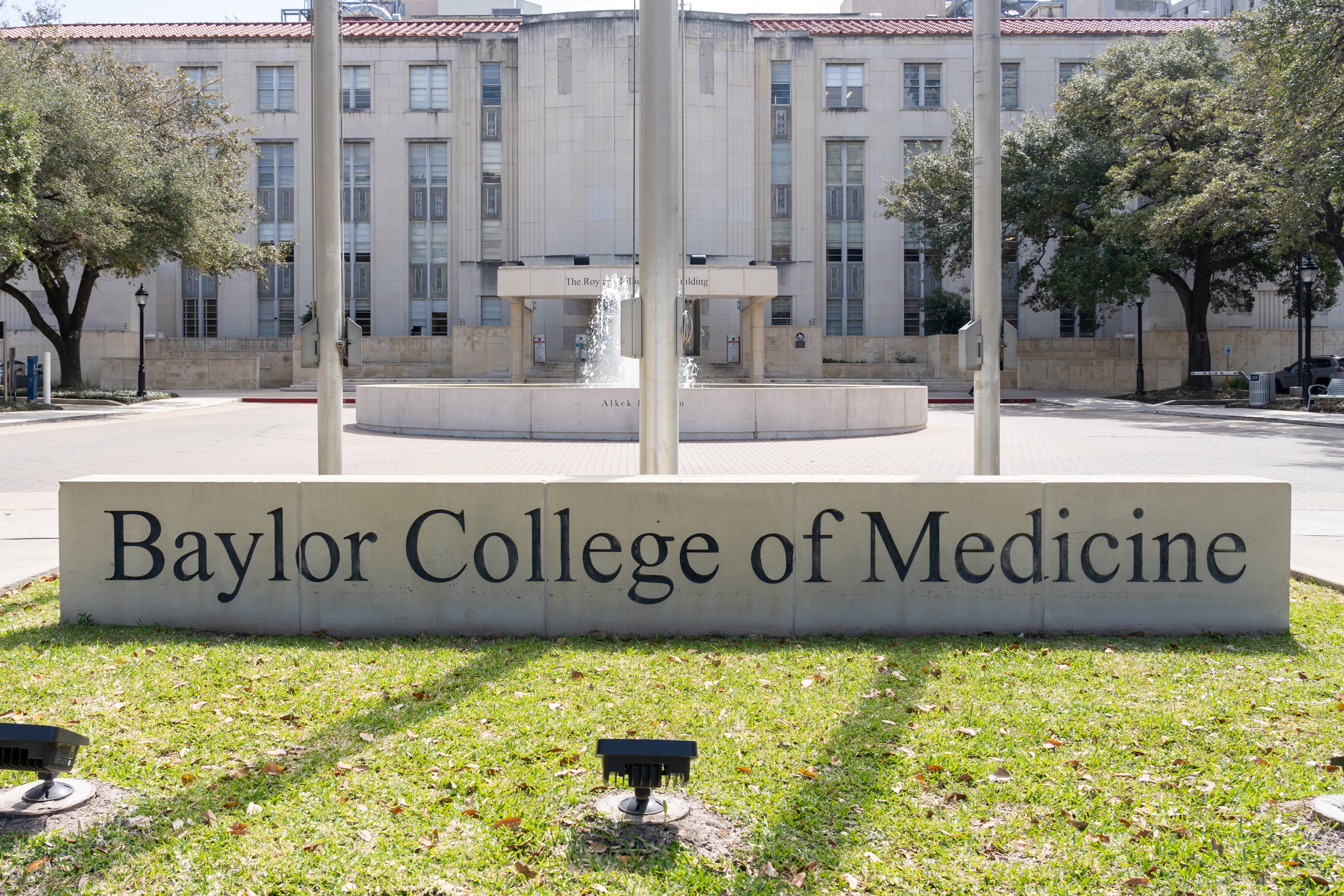 Baylor.jpg